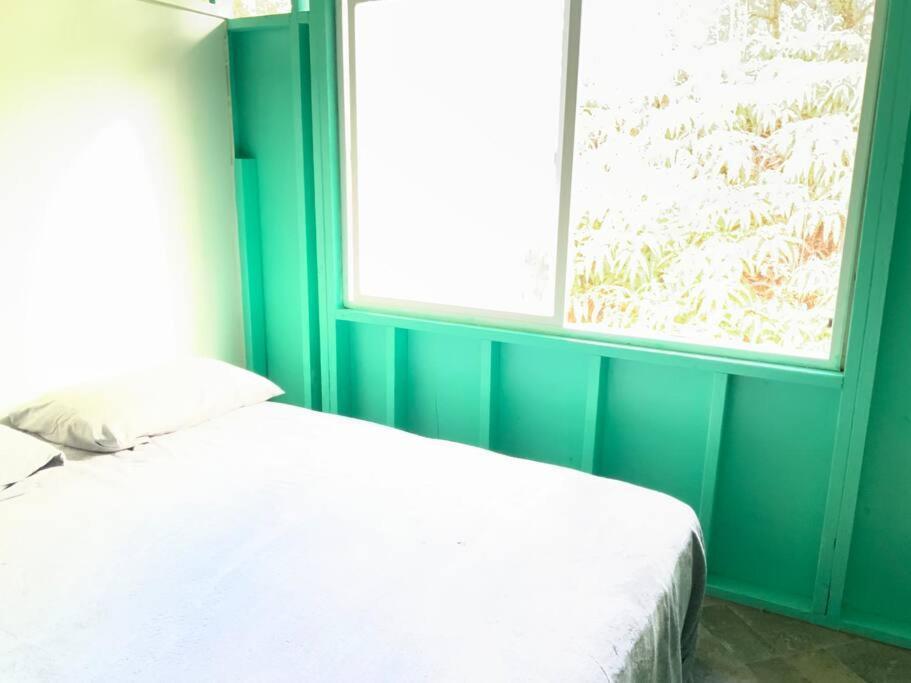 芒廷维尤 Simple Rustic Studio Deluxe Bed In Tropical Fruits Garden酒店 外观 照片