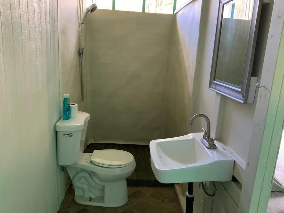 芒廷维尤 Simple Rustic Studio Deluxe Bed In Tropical Fruits Garden酒店 外观 照片
